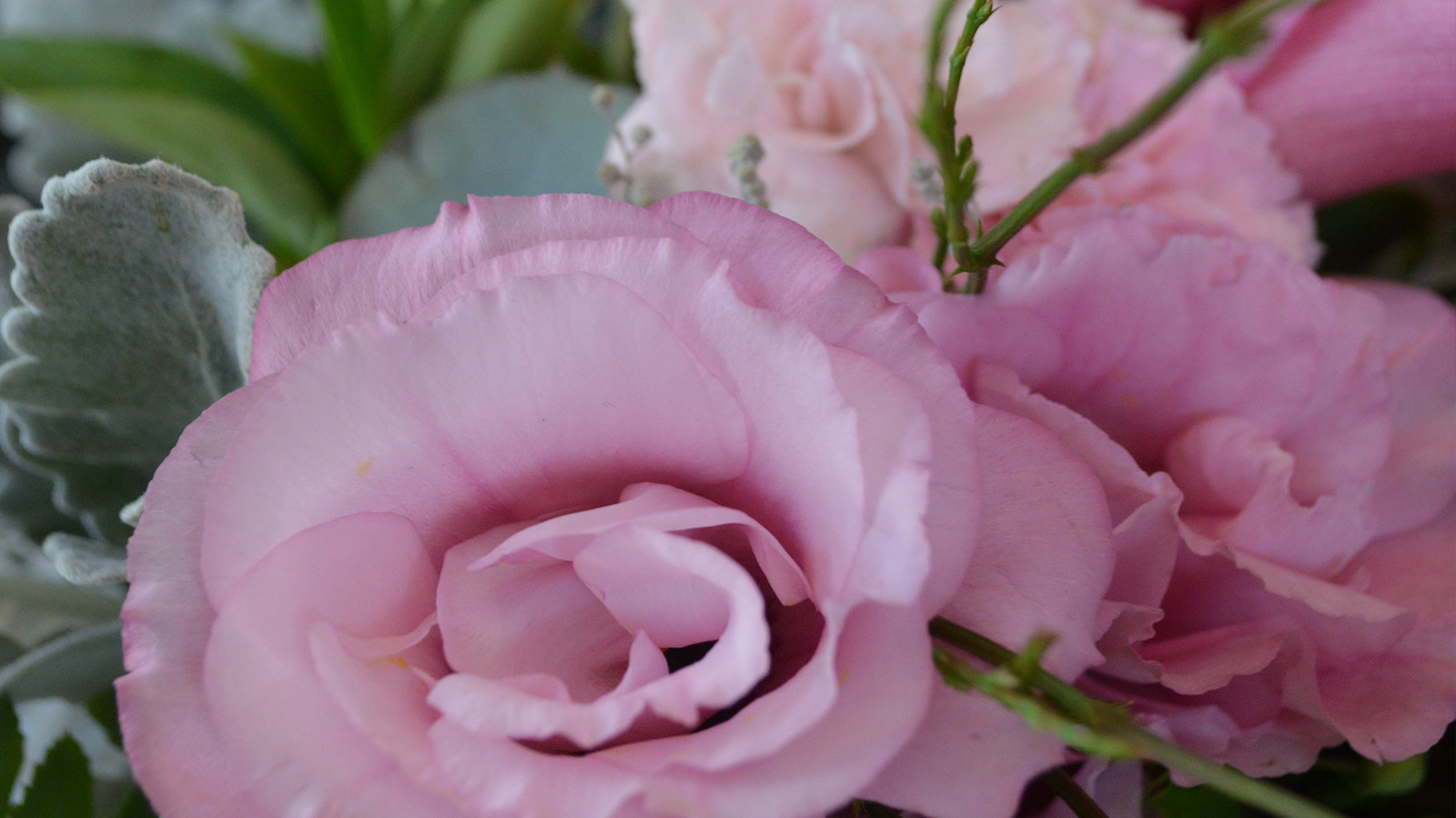pink flowers in a pretty bouquet