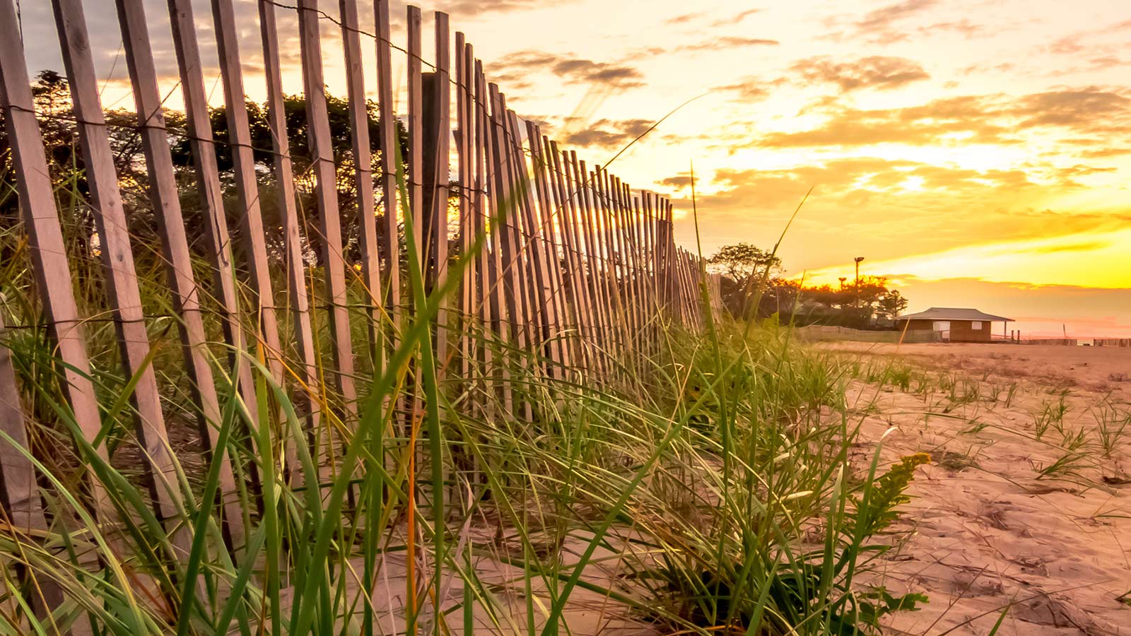 a beach fence along the sand and nature reserve