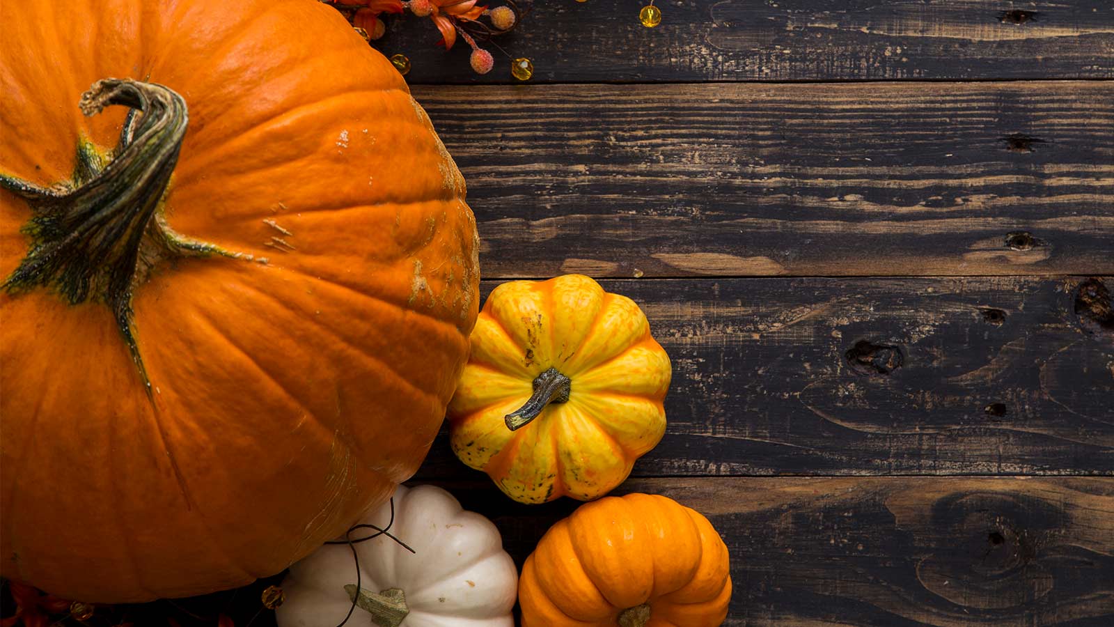 Colourful pumkins on a dark board